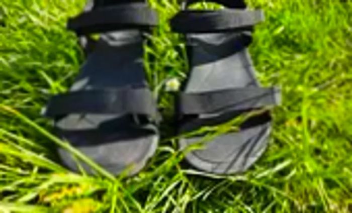 Teva Women's Aliciela Sandal situated on the lawn