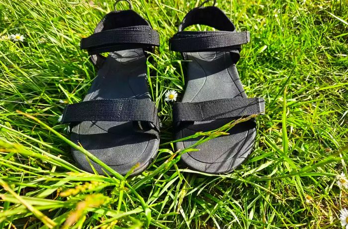 Teva Women's Aliciela Sandal situated on the lawn