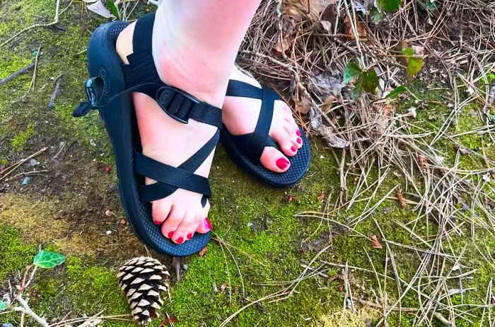 A woman stands on moss while sporting Chaco Z Cloud 2 Sandals