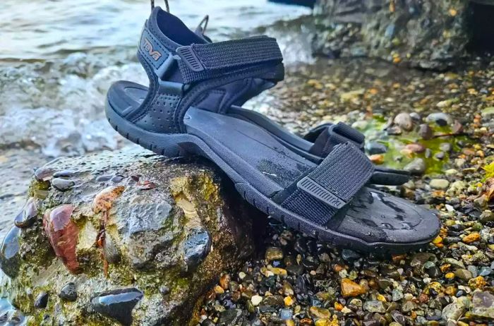 Teva Women's Aliciela Sandal resting on stones beside a river