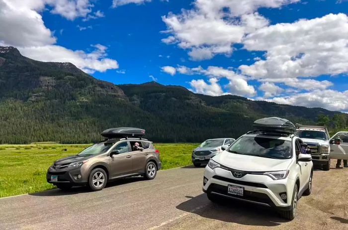 Vehicles parked along the road in Yellowstone