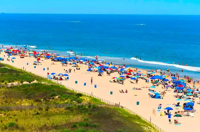 The beach in Ocean City, Maryland, bustling with people and colorful umbrellas.