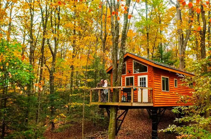 A guest treehouse at Country Road Cabins.