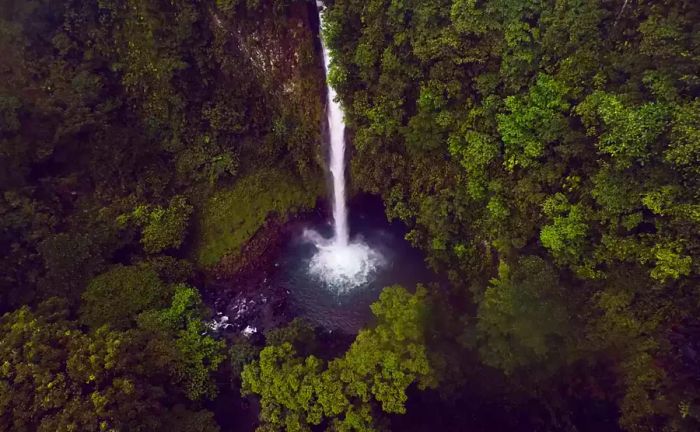 A waterfall in Costa Rica, nestled within lush rainforest