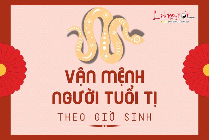 Vận mệnh người tuổi Tị theo giờ sinh