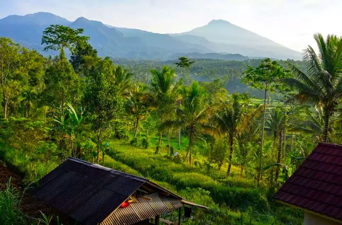 Rural landscape in Lombok, Indonesia