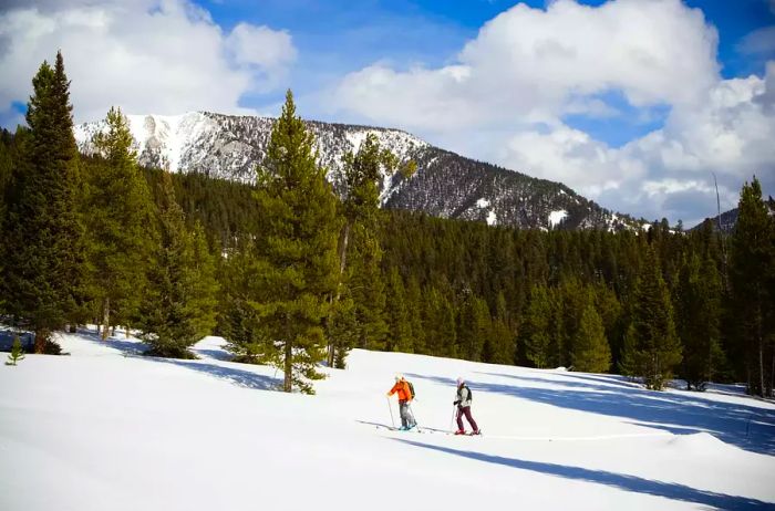 Two individuals enjoy cross-country skiing in Big Sky, Montana