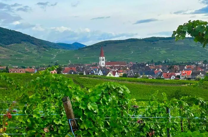 A picturesque French town nestled among vast vineyards