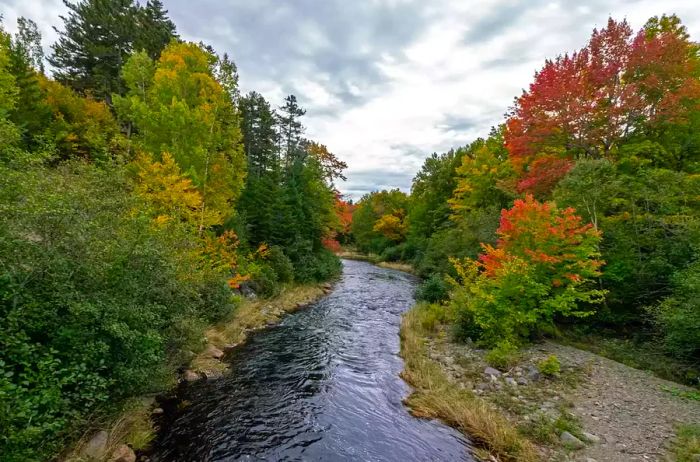 A tranquil pond reflecting the forest and sky in Gulf Hagas, Maine.