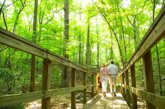 The John Ripley Forbes Big Trees Forest Preserve Located in Sandy Springs, Georgia