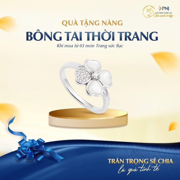 Hình ảnh PNJ Silver 2
