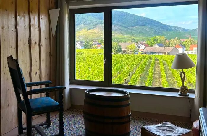 View of a vineyard in France from inside the winery.