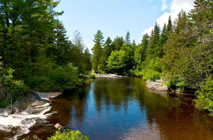 Gulf Hagas in the northern Maine Woods, with the Pleasant River framed by the vibrant colors of early fall foliage.