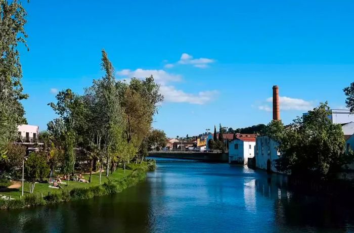 People lounging on a riverbank in Portugal.