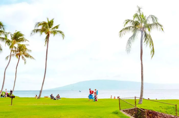 A couple strolling along a beach in Maui