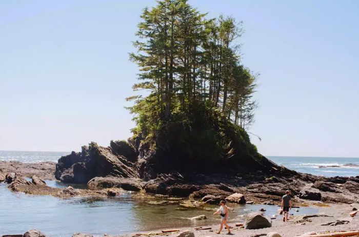 People strolling along the shores of Vancouver Island