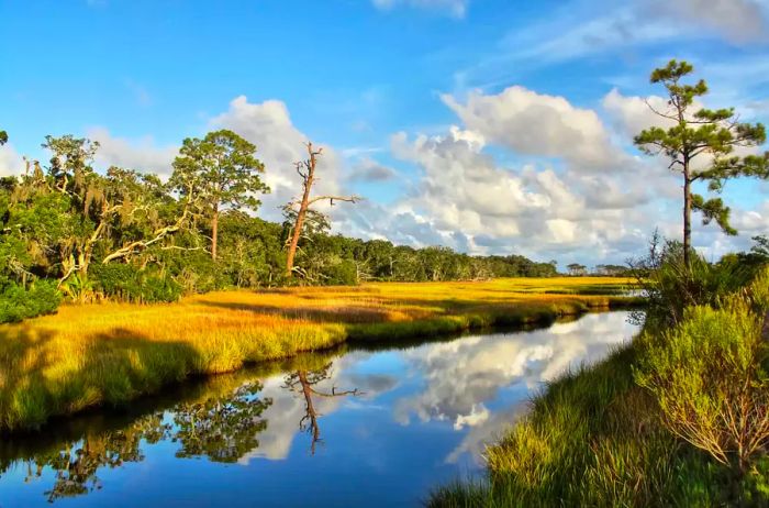 A salt marsh at Clam Creek on Jekyll Island, Georgia.