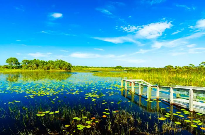 Scenic nature preserve in Port St. Lucie, Florida.