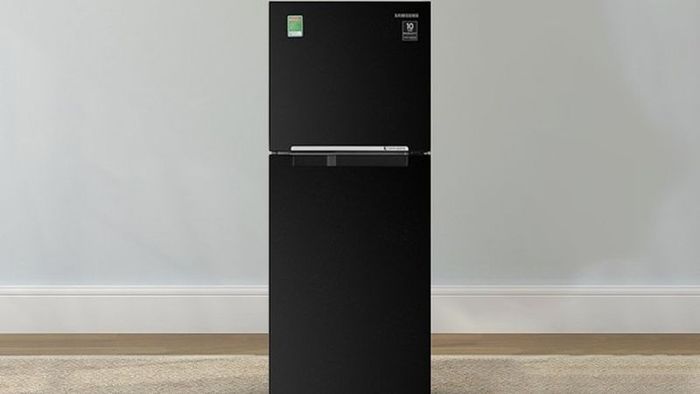 tu-lanh-samsung-236l-1