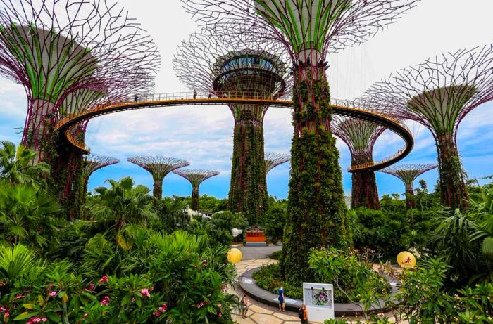 Travel Tips for Singapore