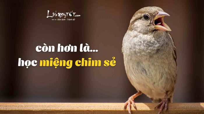 Học theo lời chim sẻ