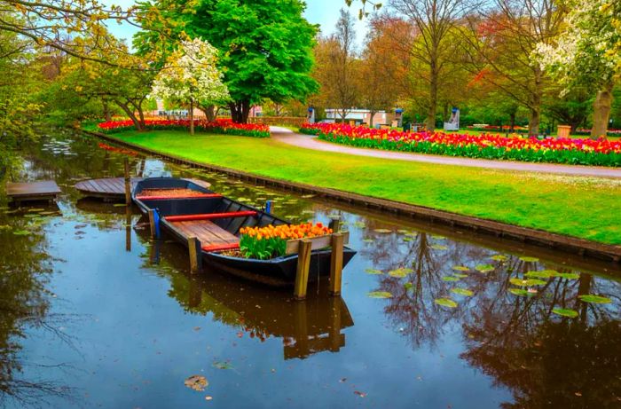 Amsterdam Tulip Festival