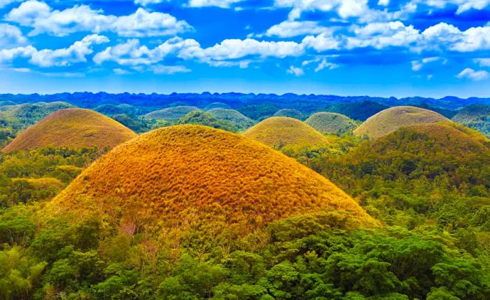 Chocolate Hills