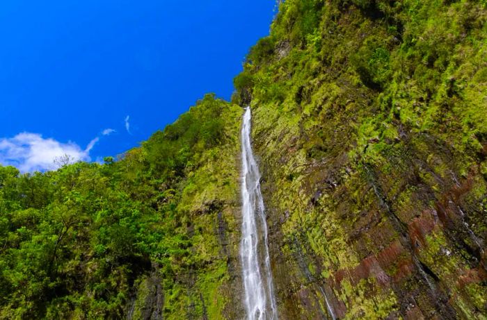 Waimoku Falls