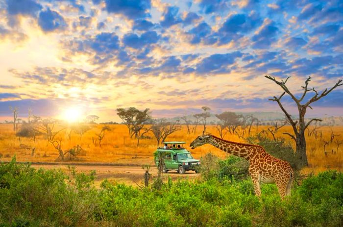 Leading Ecotourism Destinations Worldwide