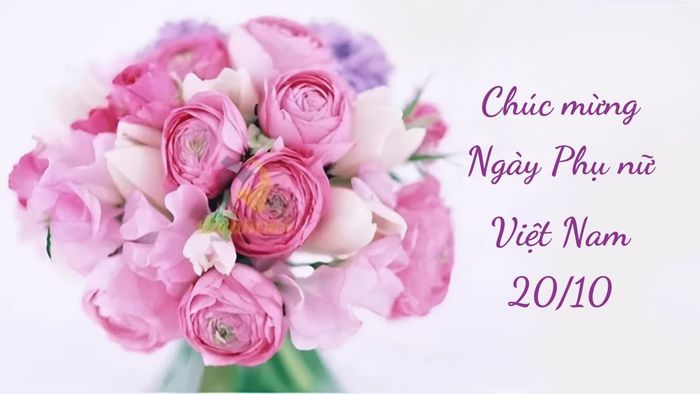 Background 20/10 phiên bản 35