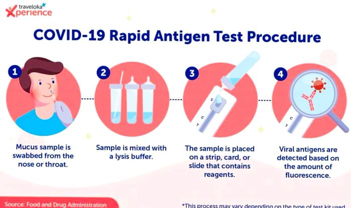 rapid-antigen test en