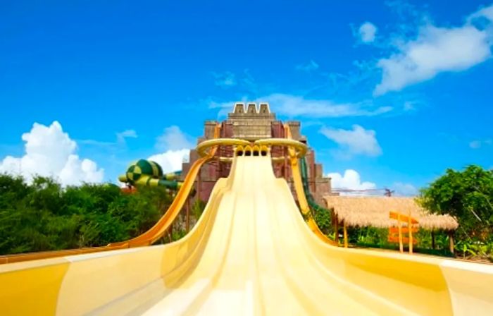 A large yellow slide at the Maya Adventure Park in Costa Maya, Mexico