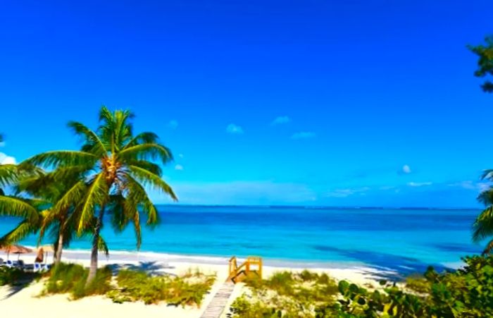 An aerial view showcasing the stunning blue waters of Taino Beach in Freeport, Bahamas