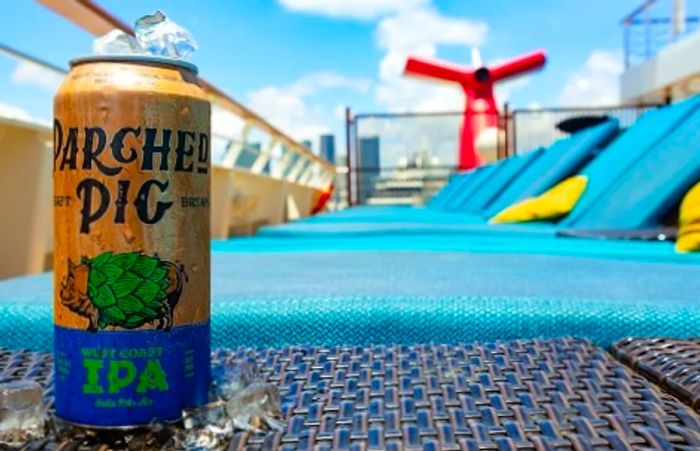 Parched Pig IPA beer can onboard a Dinogo ship