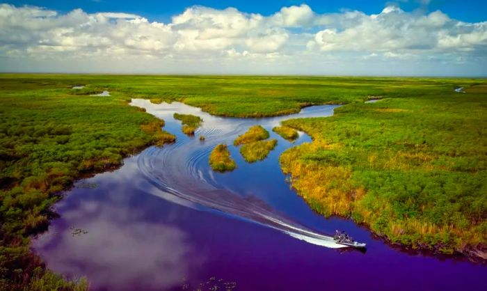 Aerial view of the Florida Everglades