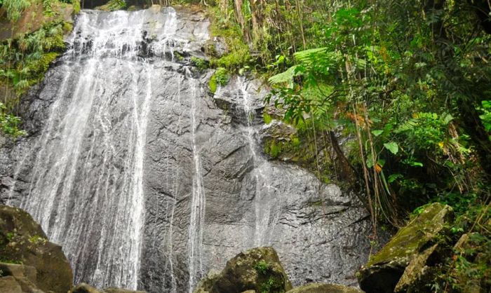 La Coca Falls in the El Yunque rainforest.