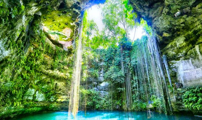 Looking up from inside a cenote in Mexico