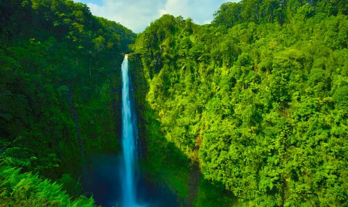 Akaka Falls in Hawaii, framed by dense tropical forest.