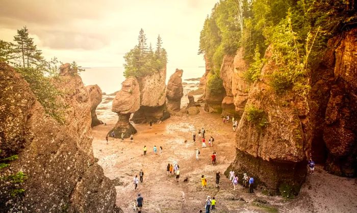 Tourists discovering the Hopewell Rock formations in Canada