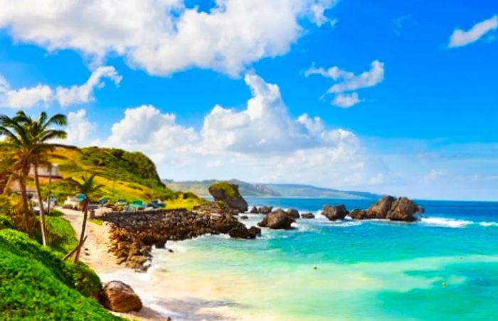 a view of the rock formations along the coast of Barbados