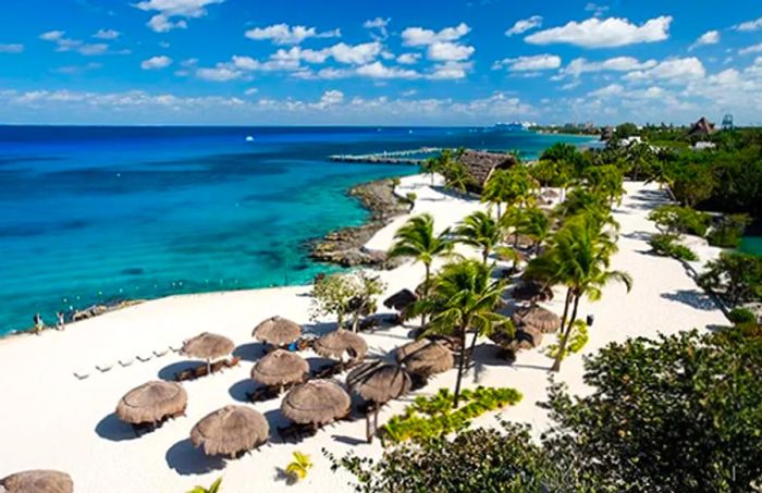 aerial view of chankanaab park beach in cozumel