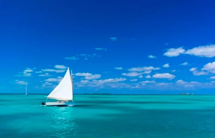 catamaran sailing in the waters near The Bahamas