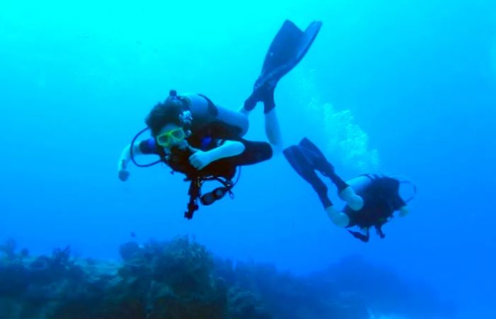 scuba diver in Cozumel