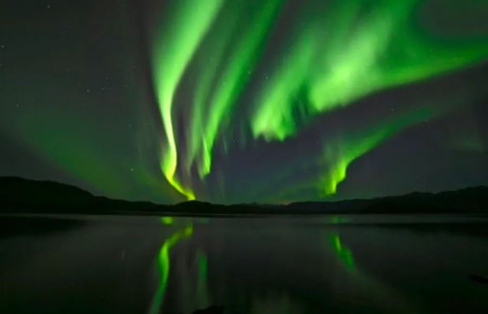 The Ultimate Guide to Experiencing the Northern Lights on an Alaska Cruise | Dinogo