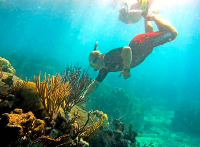 A man touching a coral reef while snorkeling at Marina Cay