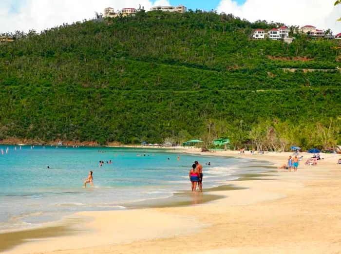 A Tropical Escape: Relax at Magen’s Bay Beach in St. Thomas