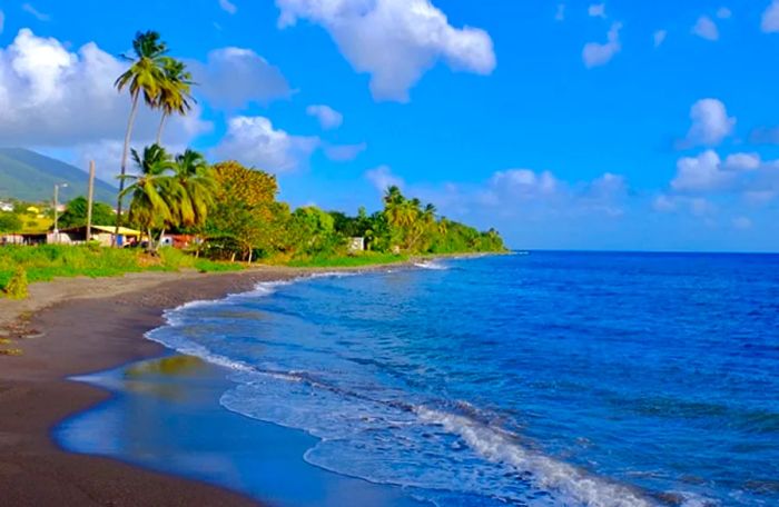 Clear blue sky and stunning beach view