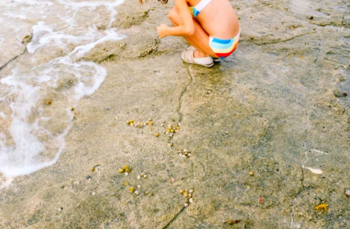 daughter curiously observing something on the beach