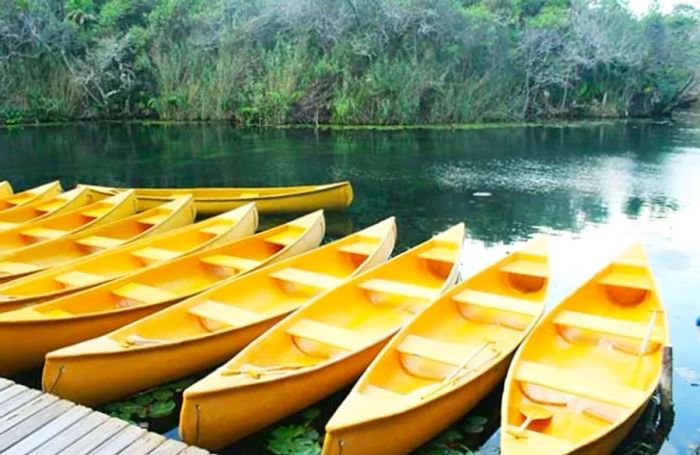 Incredible Shore Excursion in Mexico