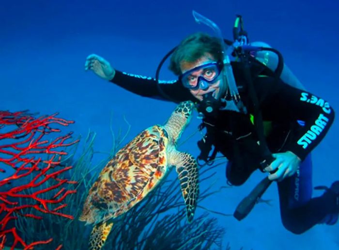 a man scuba diving in Nassau as a turtle approaches him